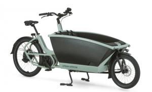 Urban Arrow Family Performance Line Plus (Groen)